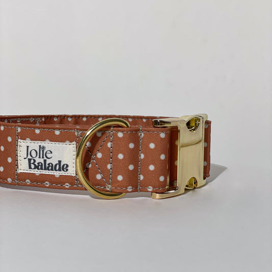 🐶 Collier "CANNELLE" pour chien