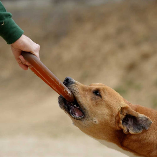 🐶 "ANNEAU" en résine