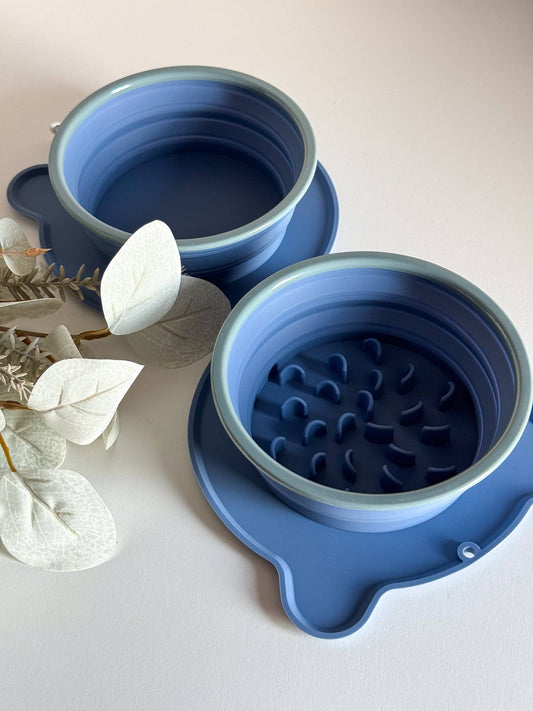 🐶🐱 Gamelle de voyage pliable