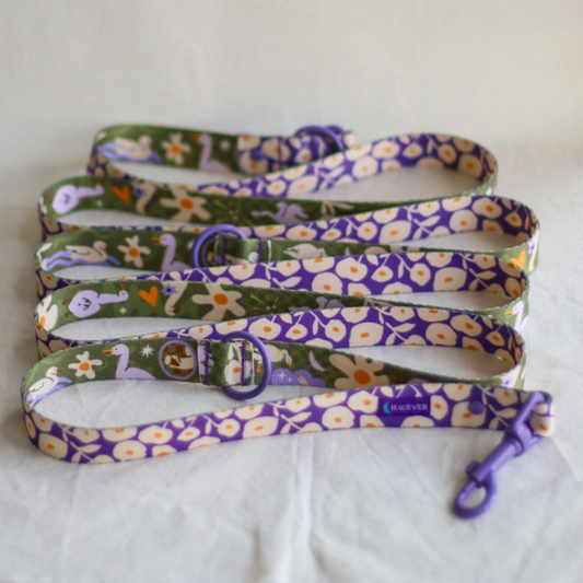 🐶 Laisse 3 points pour chien 250cm (fleurs)