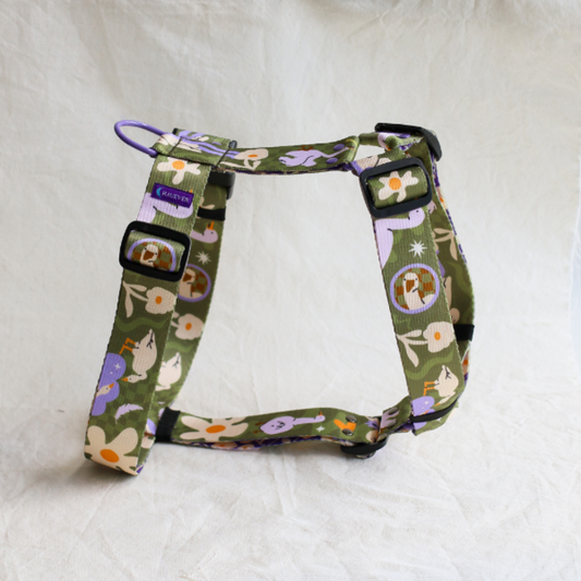 🐶 Harnais pour chien (oies)