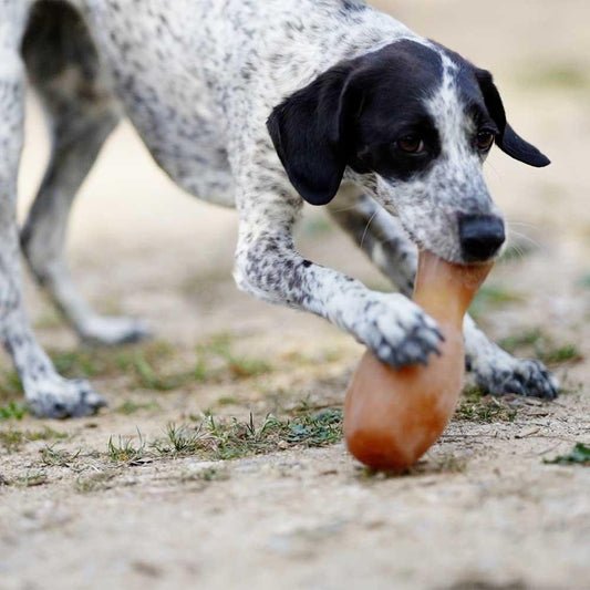 🐶 Jouet distributeur en résine organique - Les p'tits potes