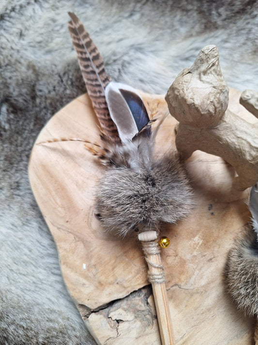 🐱 Canne à plumes