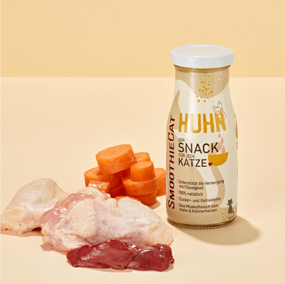 đ± Smoothie au Poulet pour chat