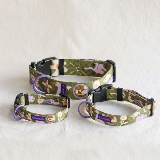 🐶 Collier pour chien (oies)