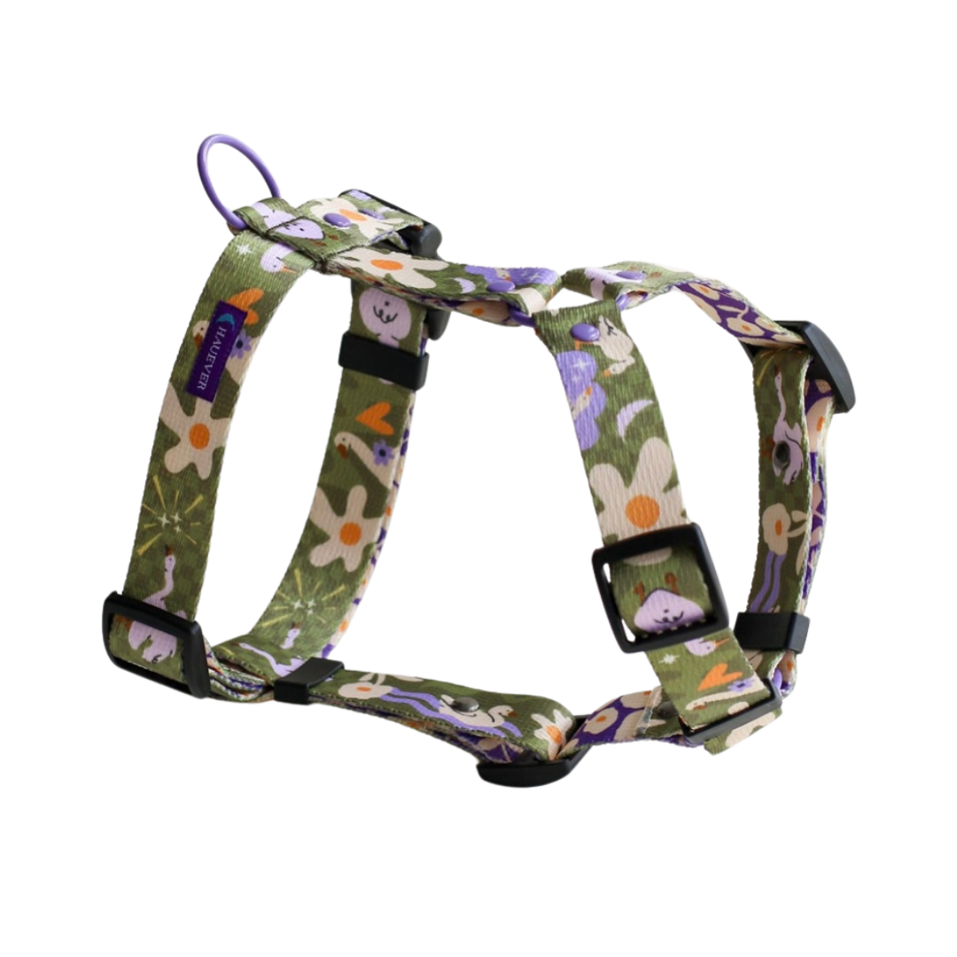 🐶 Harnais pour chien (oies) - Hauever