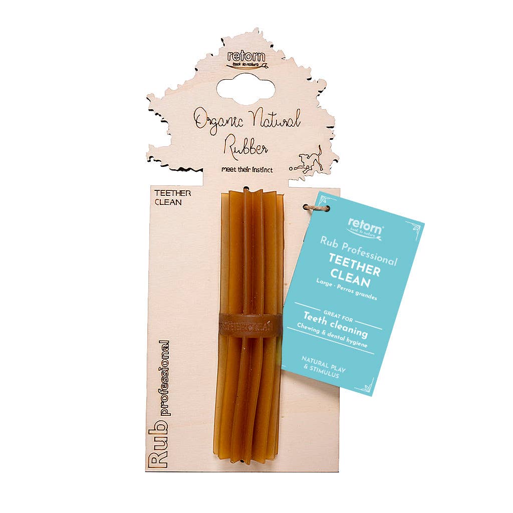 🐶 "STICK DENTAIRE" en résine