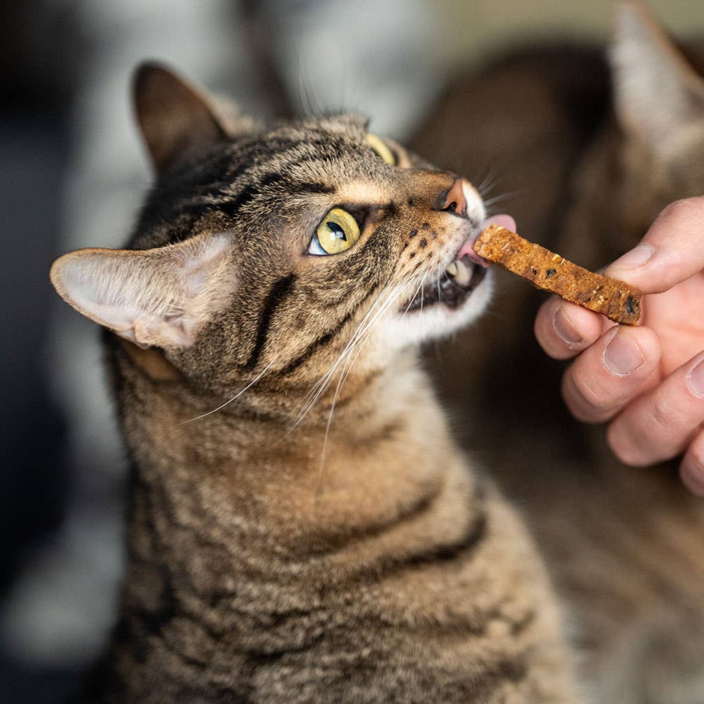 🐱 Bâtonnets dentaire (poulet)