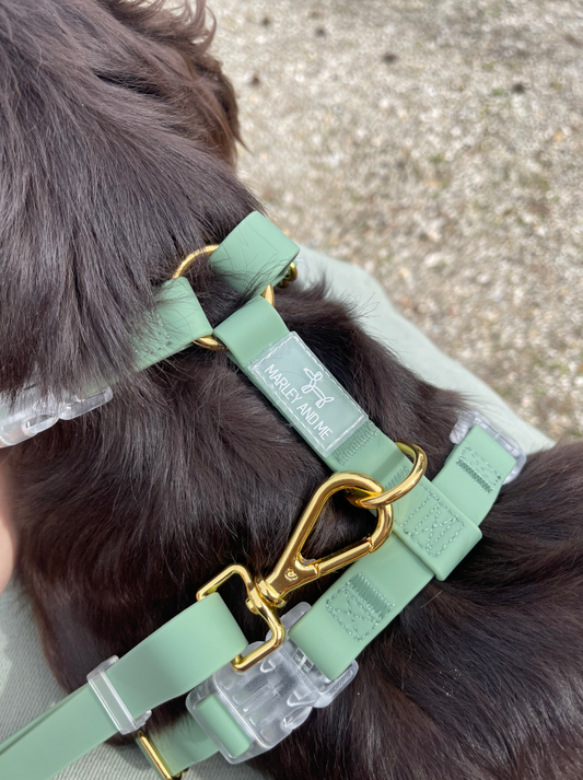 🐶 Harnais "Mallorca"