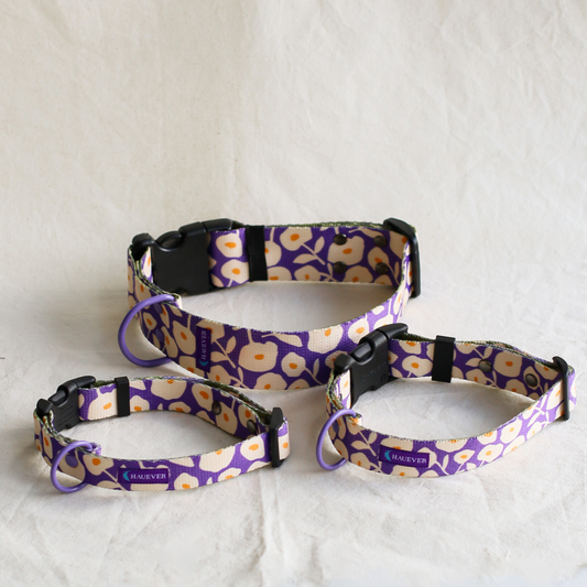 🐶 Collier pour chien (fleurs)