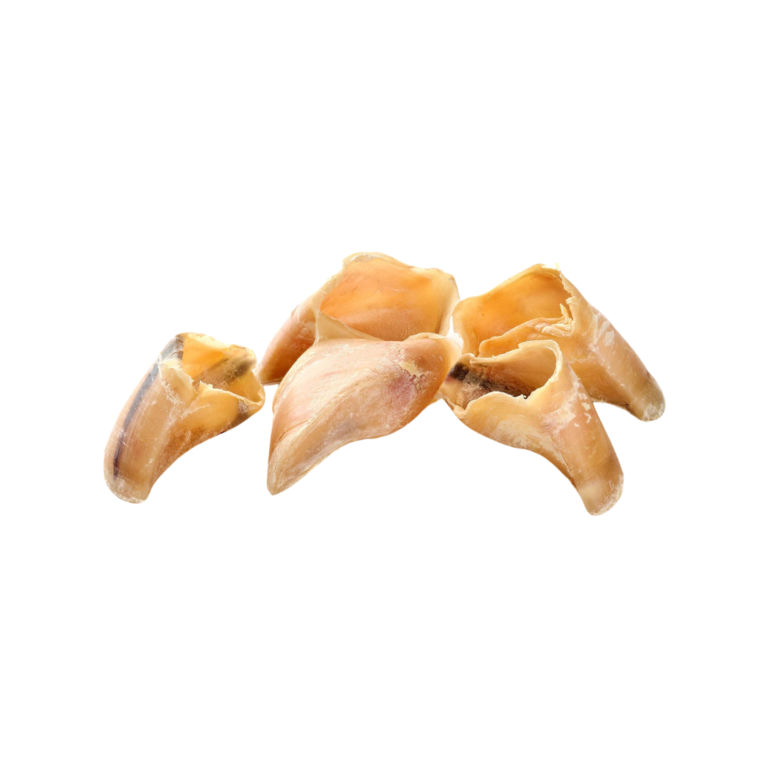 🐶 Sabots de veau - Mastication