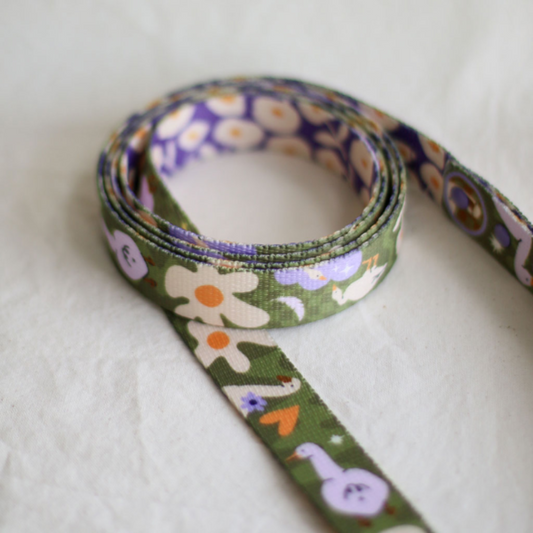 🐶 Laisse de ville pour chien (oies)