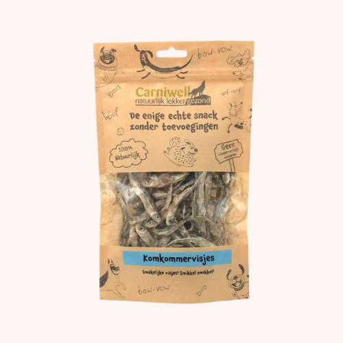 🐶🐱 Poissons-concombres pour chien & chat