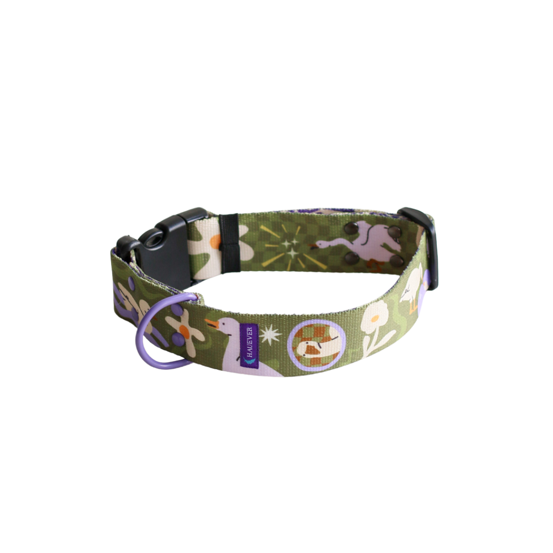 🐶 Collier pour chien (oies)