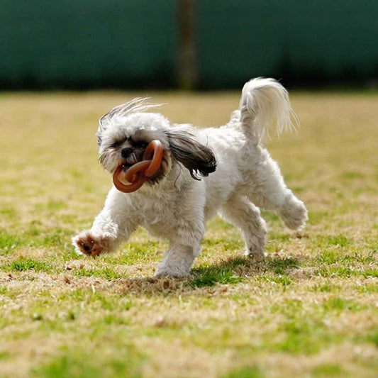 🐶 Jouet chaînes en résine organique - Les p'tits potes