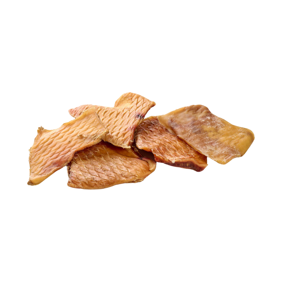 🐶 Plaques de boeuf