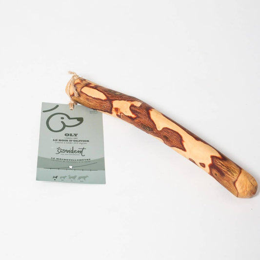 🐶 Bâton en bois d'olivier