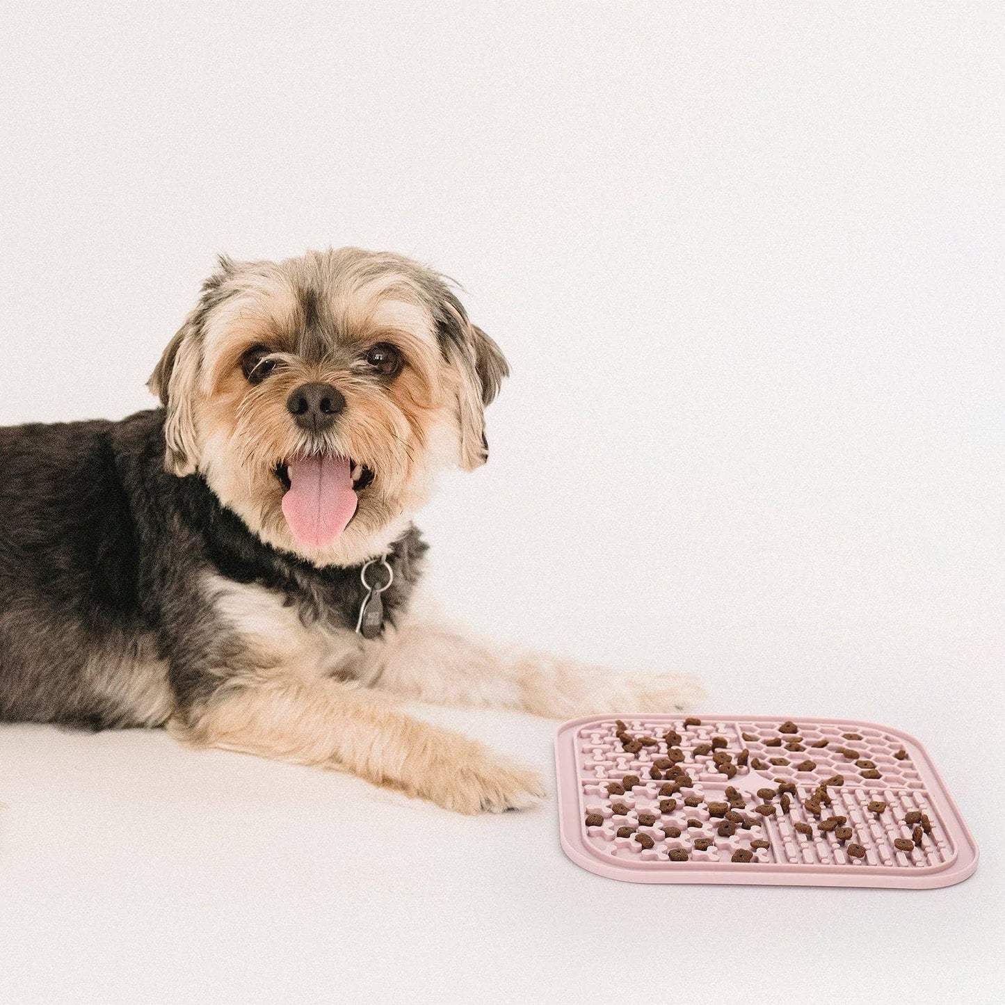 🐶🐱 Tapis de léchage à ventouses - Les p'tits potes