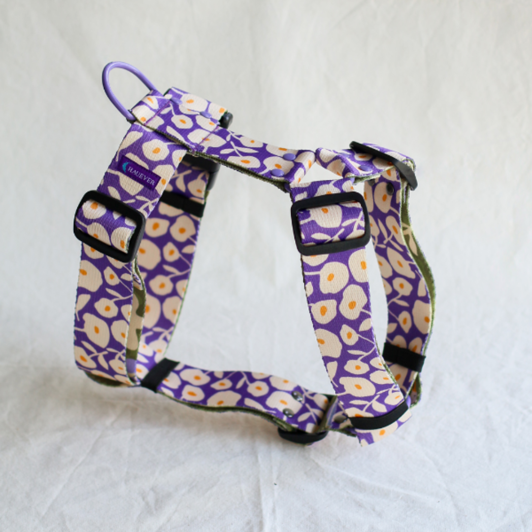🐶 Harnais pour chien (fleurs) - Hauever