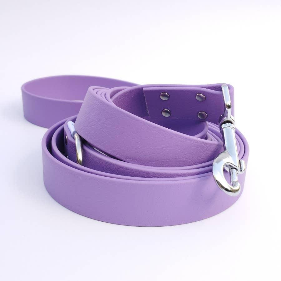 🐶 Laisse bandoulière en Biothane (Aubergine) - Les p'tits potes