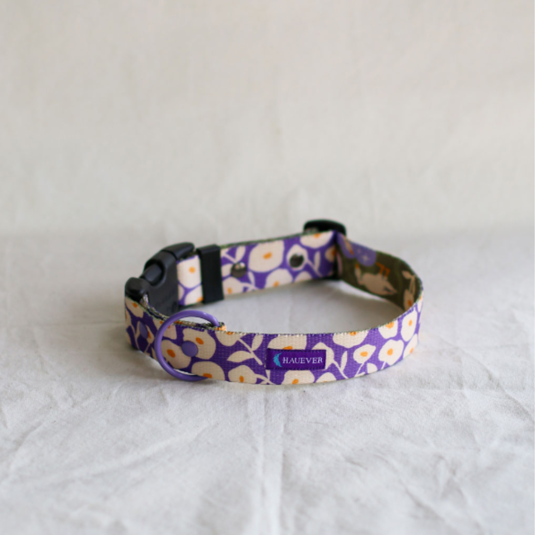 🐶 Collier pour chien (fleurs)