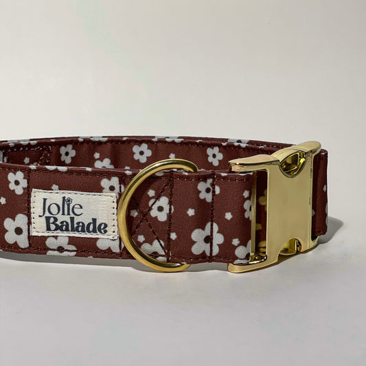 🐶 Collier " BROWNIE " pour chien
