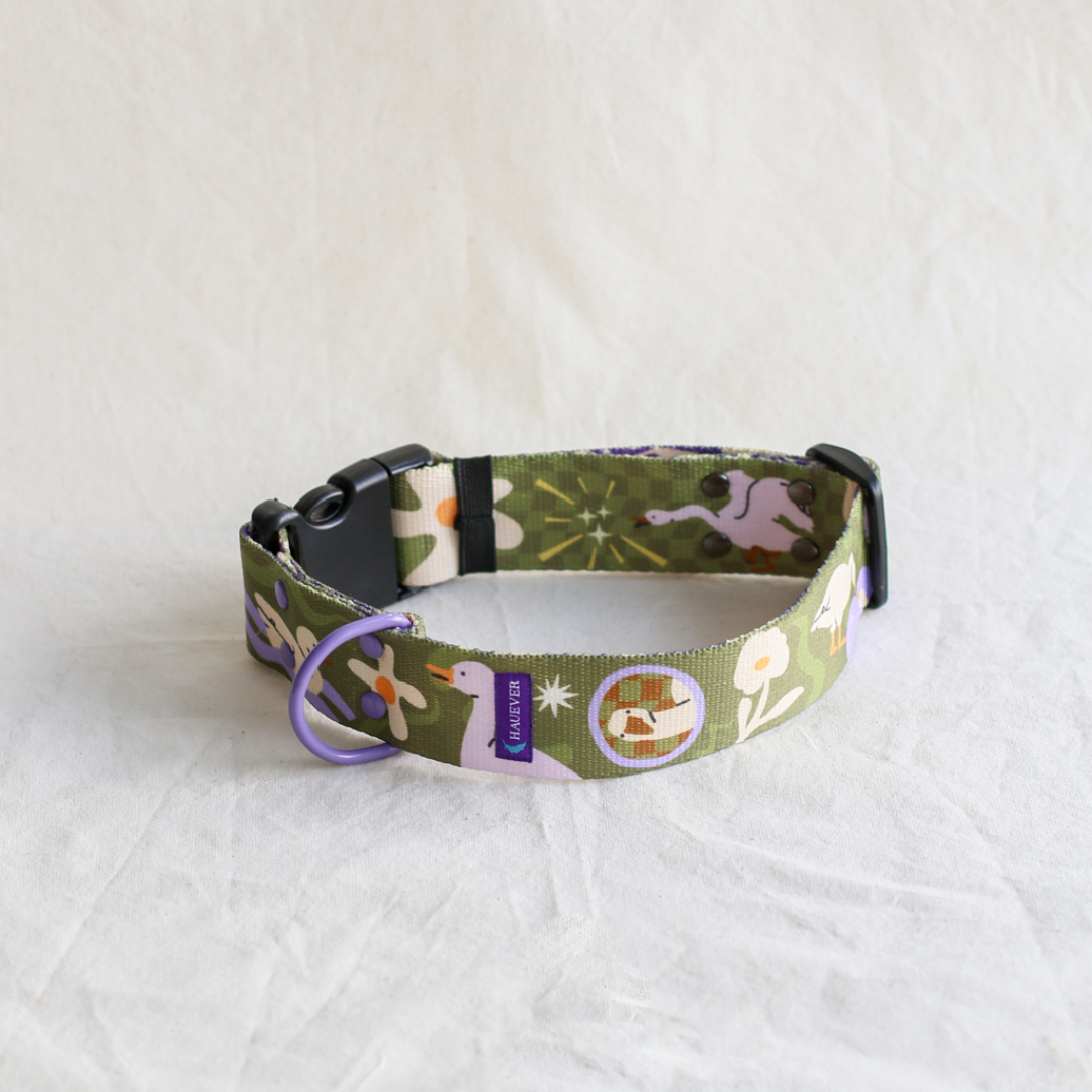 🐶 Collier pour chien (oies)