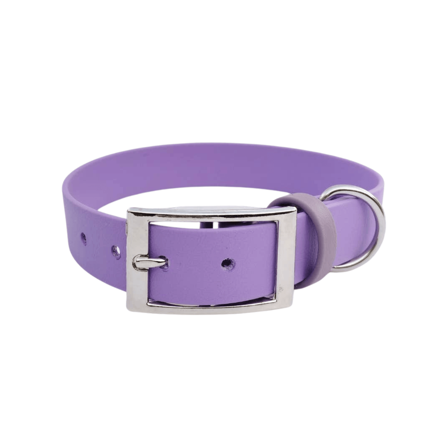 🐶 Collier en Biothane (Aubergine) - Les p'tits potes