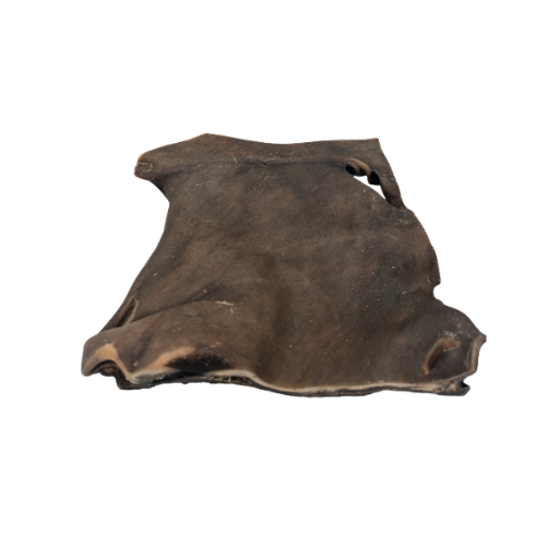 🐶 Plaque de chameau XXL pour chien