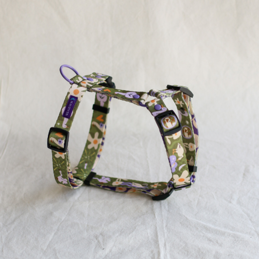 🐱 Harnais pour chat (oies, forme Y)
