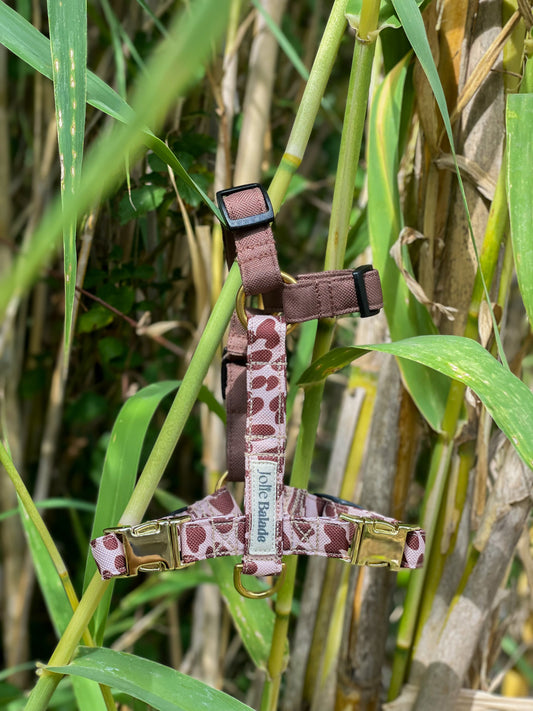 🐶 Harnais "LEOPARD"