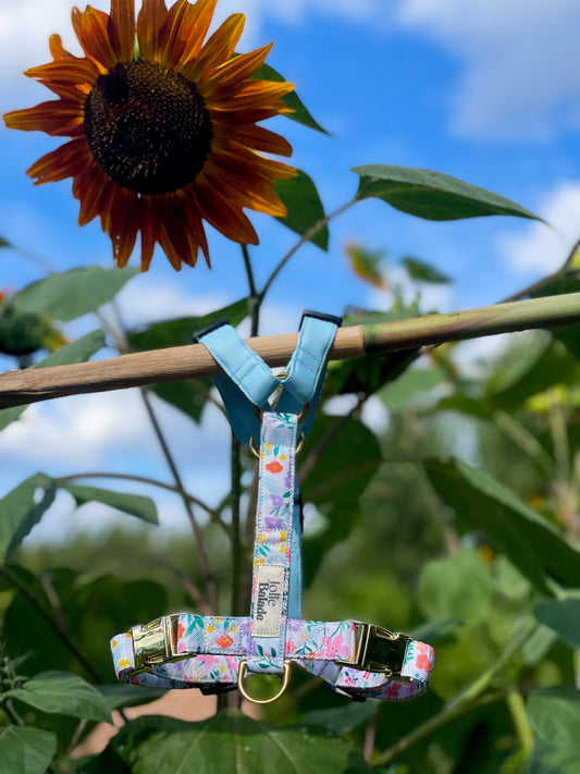 🐶 Harnais "FLORAL"