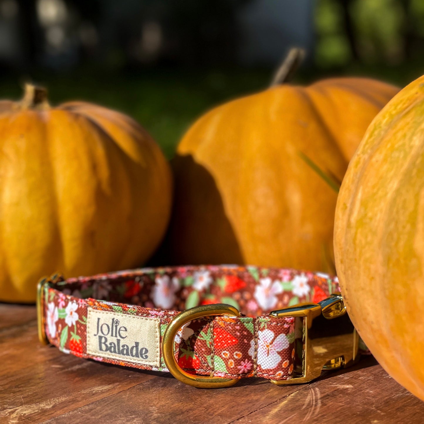 🐶 Collier "FRAISES DES BOIS"