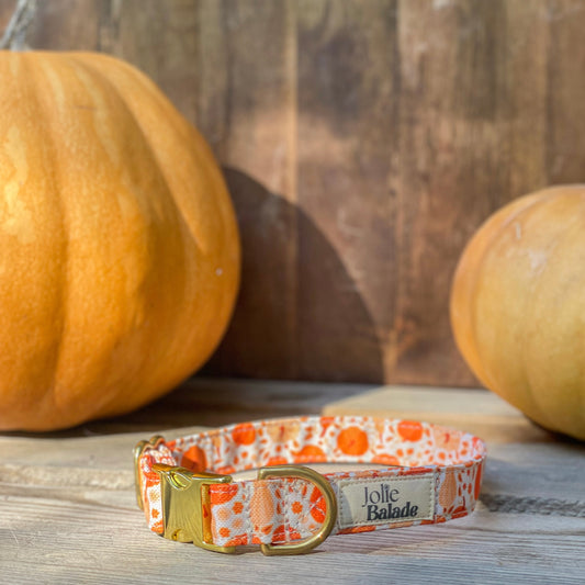 🐶 Collier "CITROUILLE"