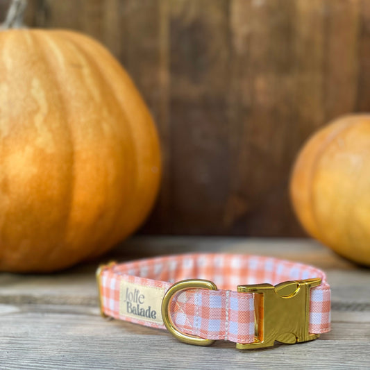 🐶 Collier "VICHY BEIGE"