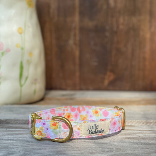 🐶 Collier "AQUARELLA"