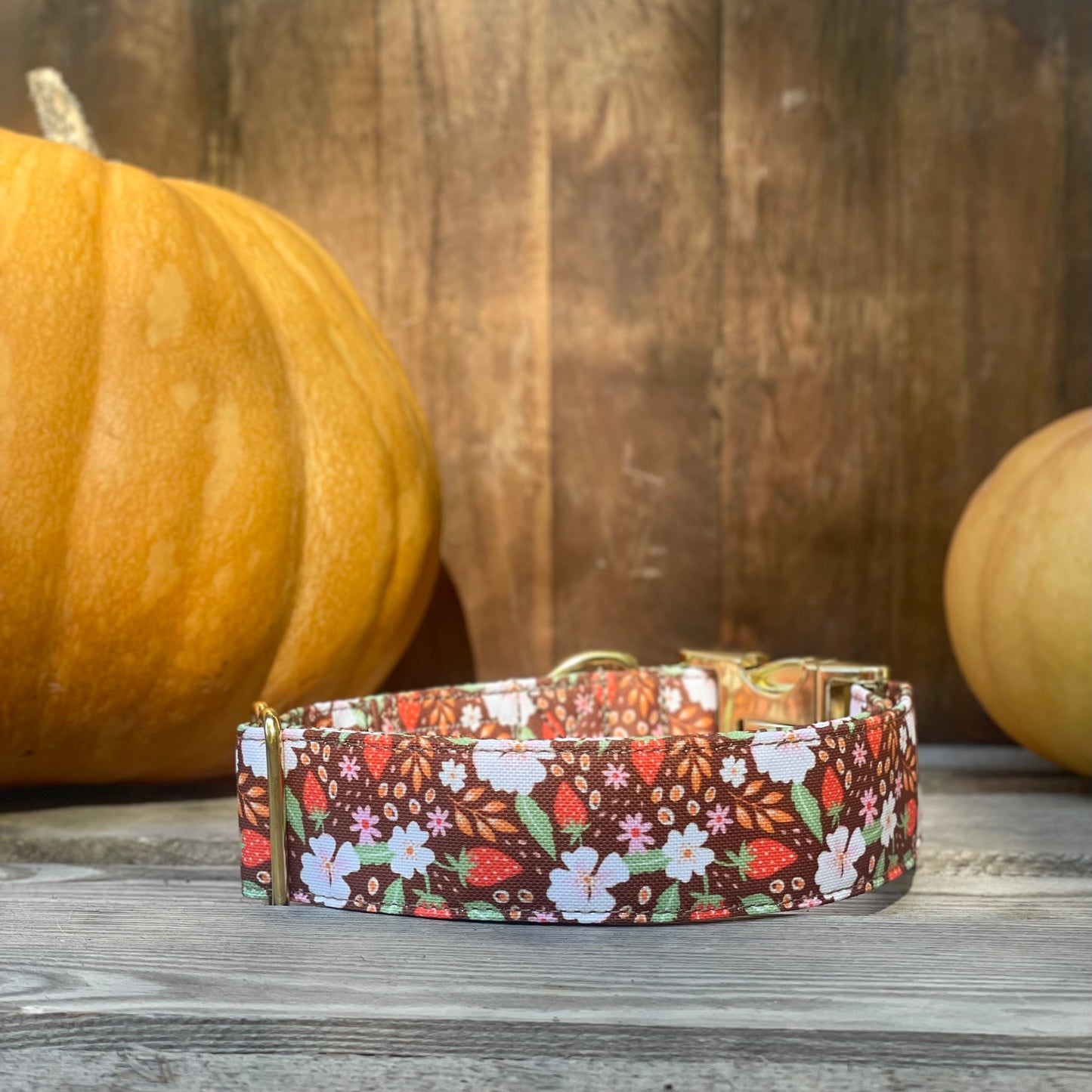 🐶 Collier "FRAISES DES BOIS"