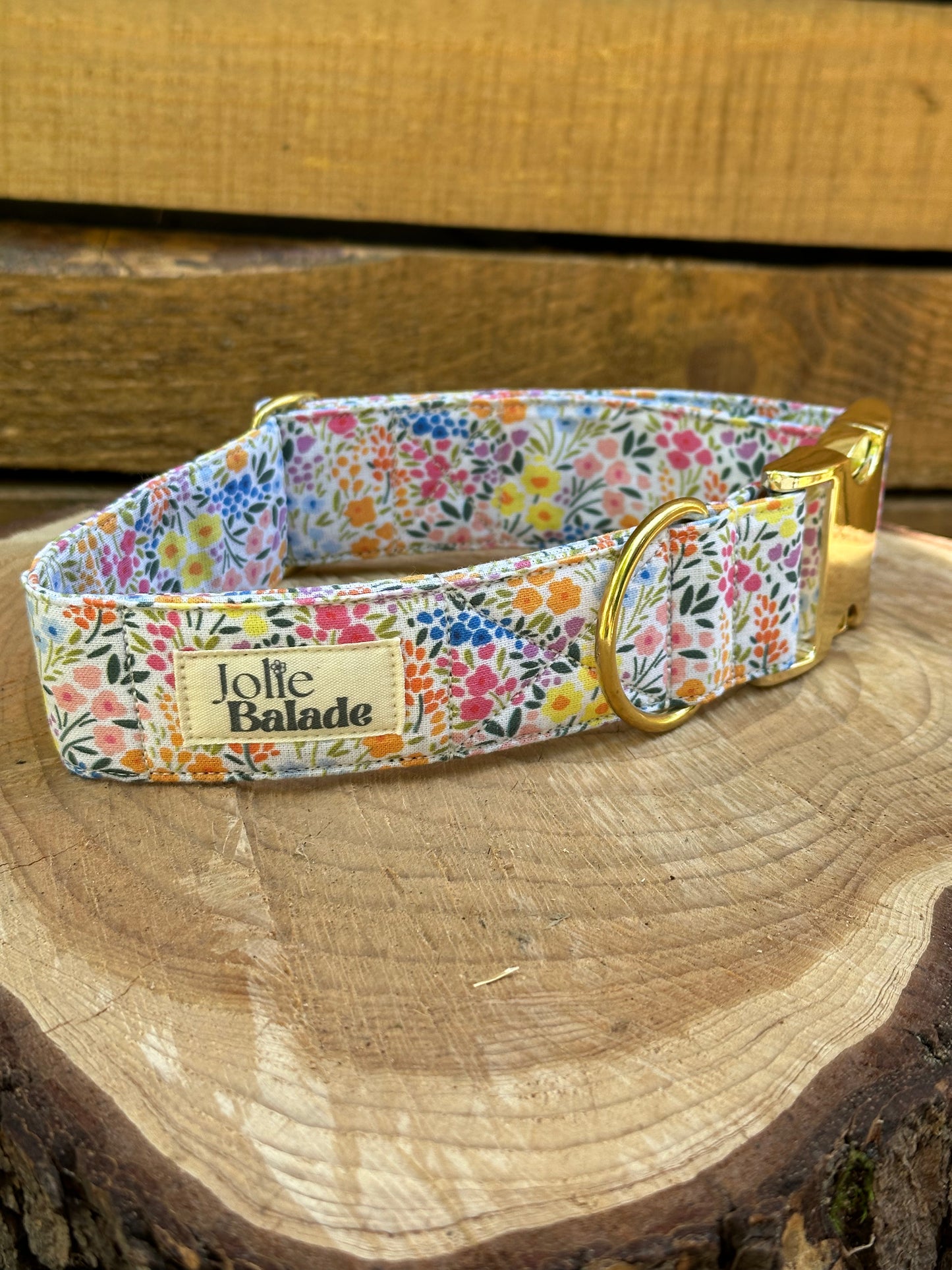 🐶 Collier en tissu pour chiens – Jolie Balade