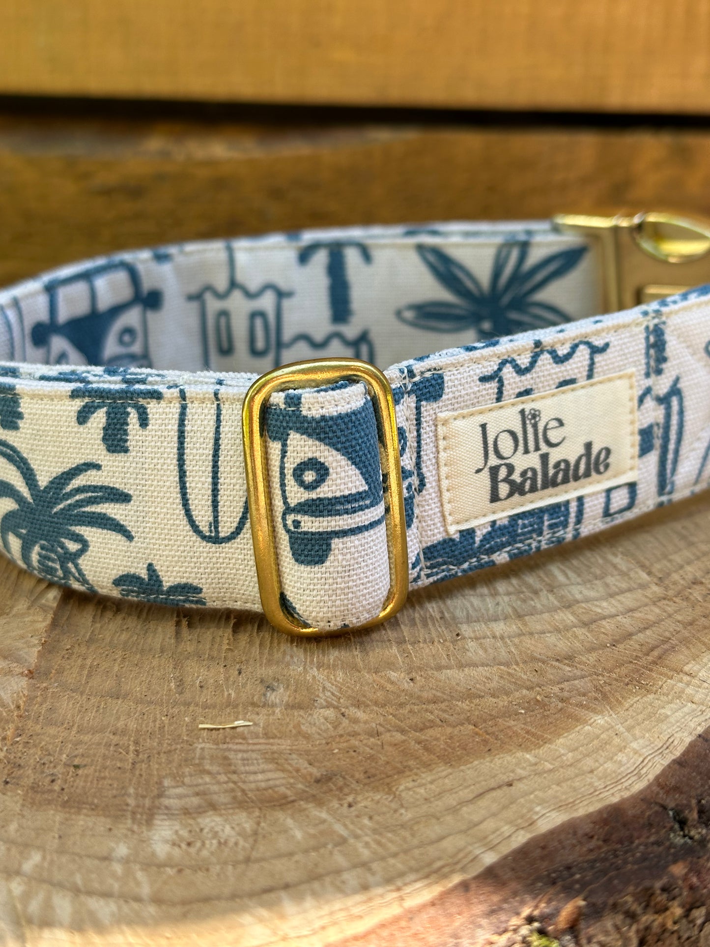 🐶 Collier en tissu pour chiens – Jolie Balade