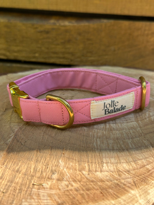 🐶 Collier en tissu imperméable pour chiens – Jolie Balade