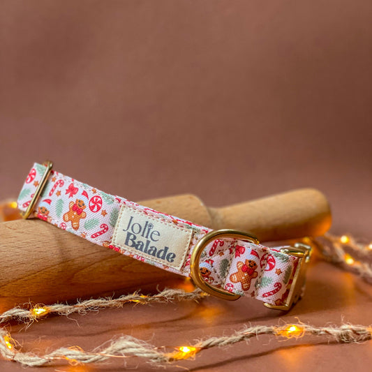 🐶 Collier "GINGERBREAD"