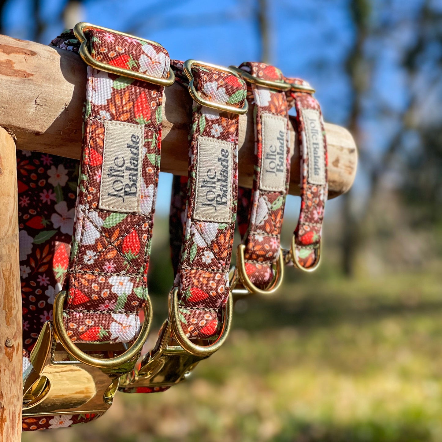 đ¶ Collier "FRAISES DES BOIS"