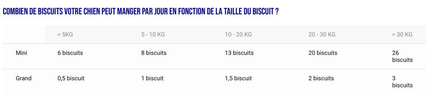 🐶 Friandises de Noël 🎄 - Chapon, Poire & Cannelle