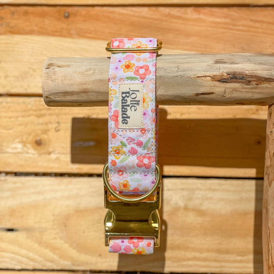 🐶 Collier "AQUARELLA"