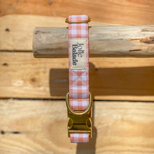 🐶 Collier "VICHY BEIGE"