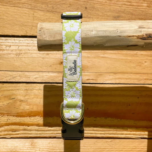 🐶 Collier "HAWAÏ VERT"