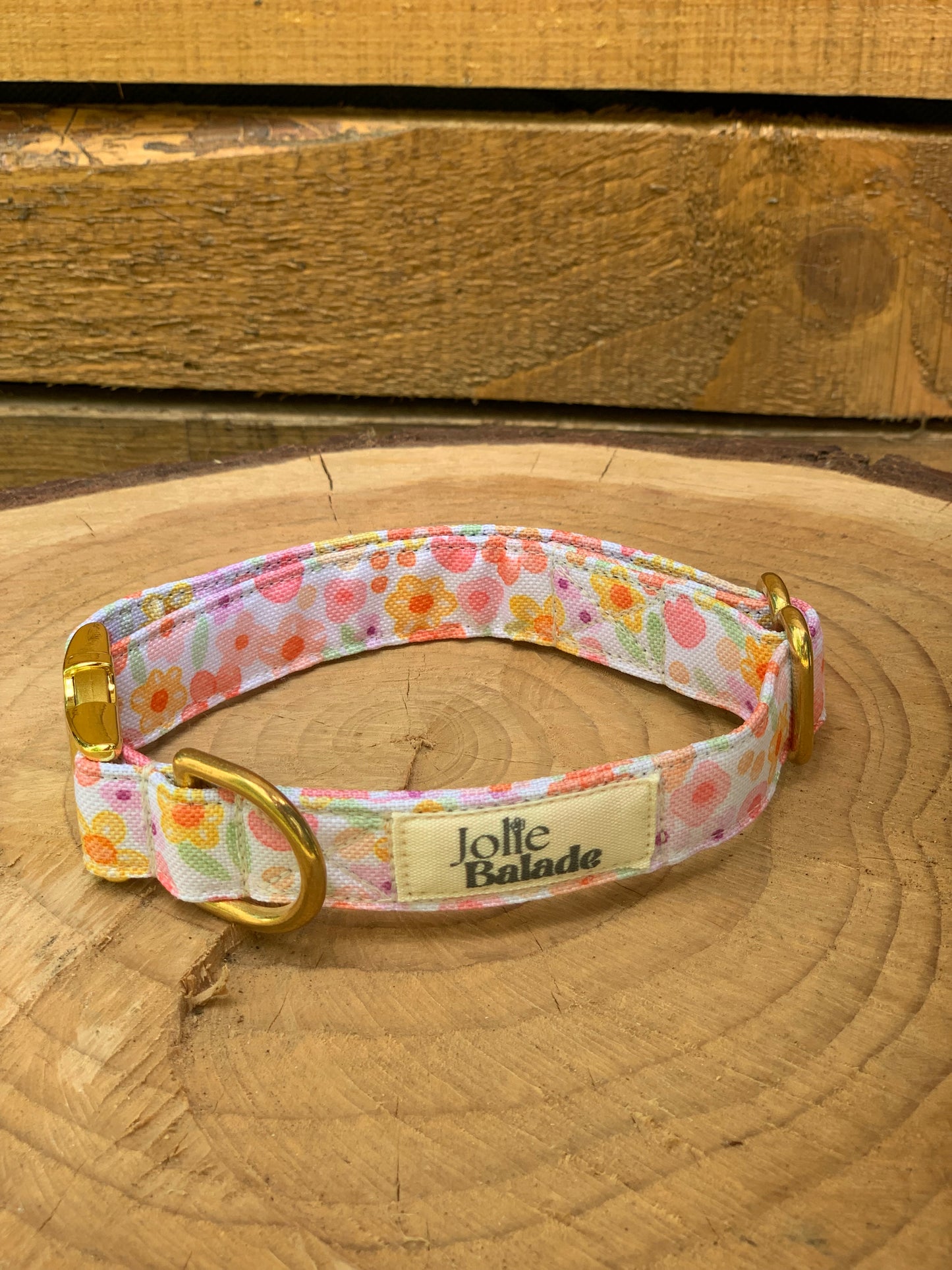 🐶 Collier "AQUARELLA"
