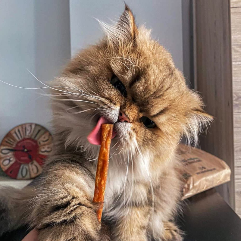 🐶🐱 Sticks Foie de Volaille pour chien et chat