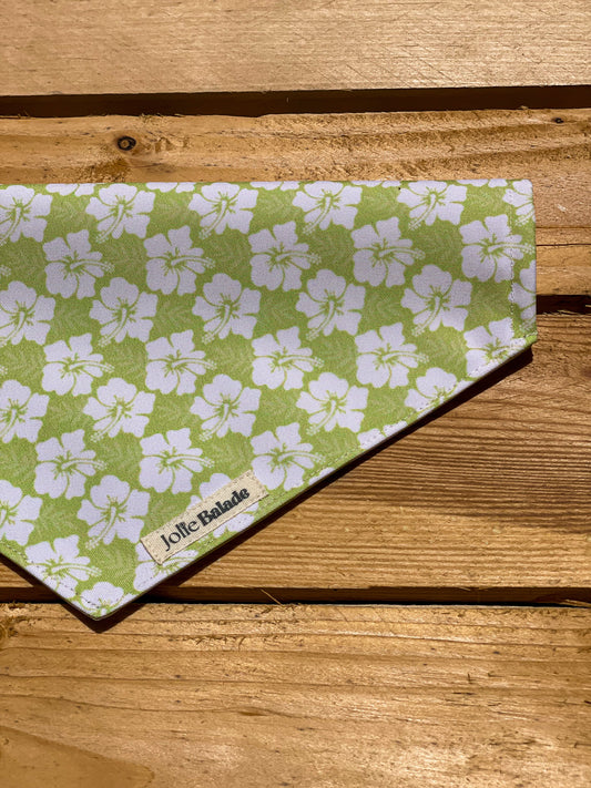 Bandana à glisser - HAWAÏ VERT