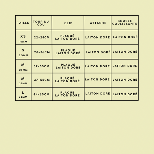 🐶 Collier " VICHY ROUGE"